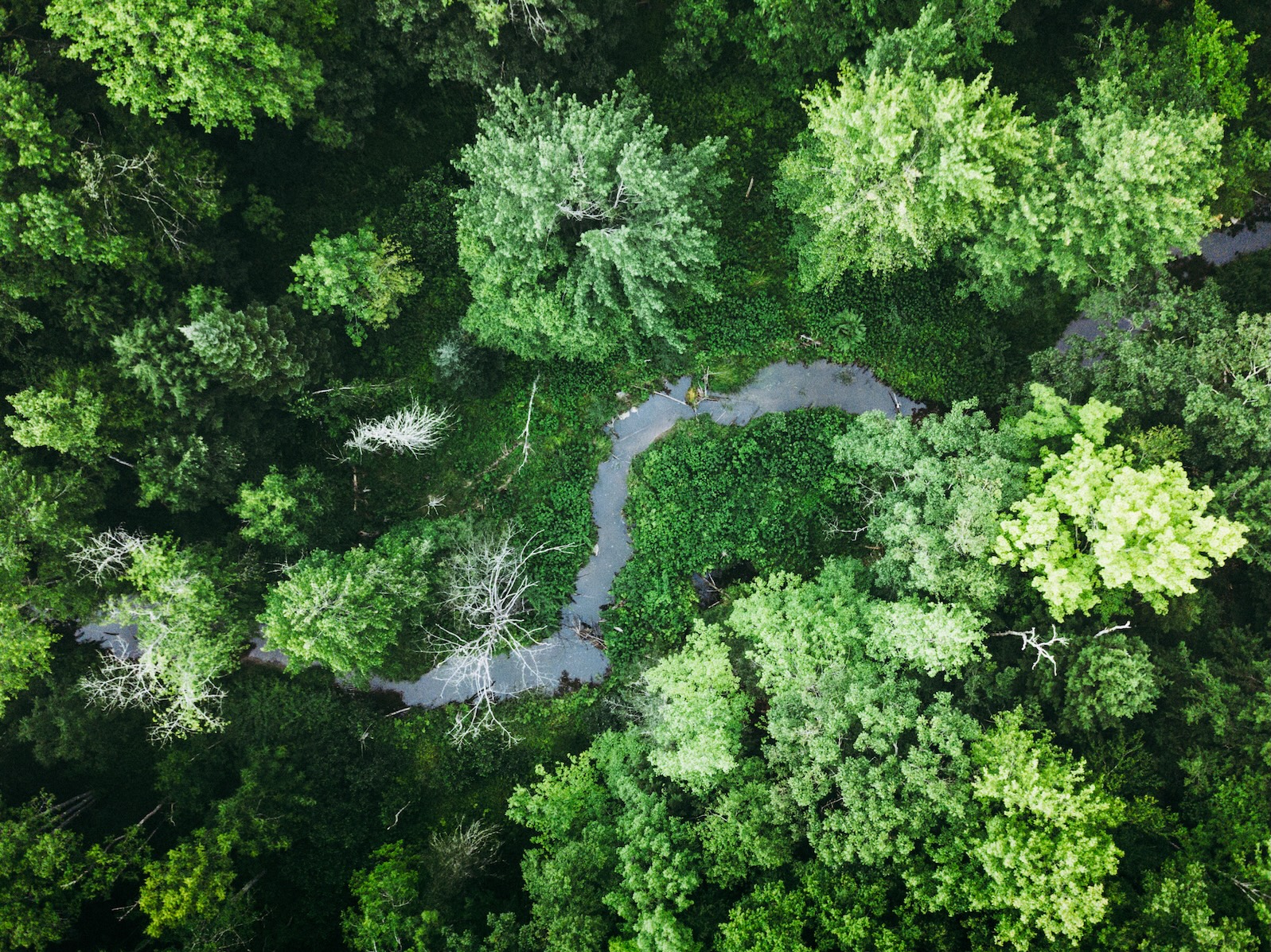 Aerial Landscape 37