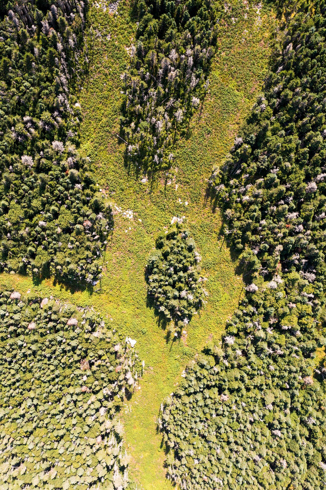 Aerial Landscape 5