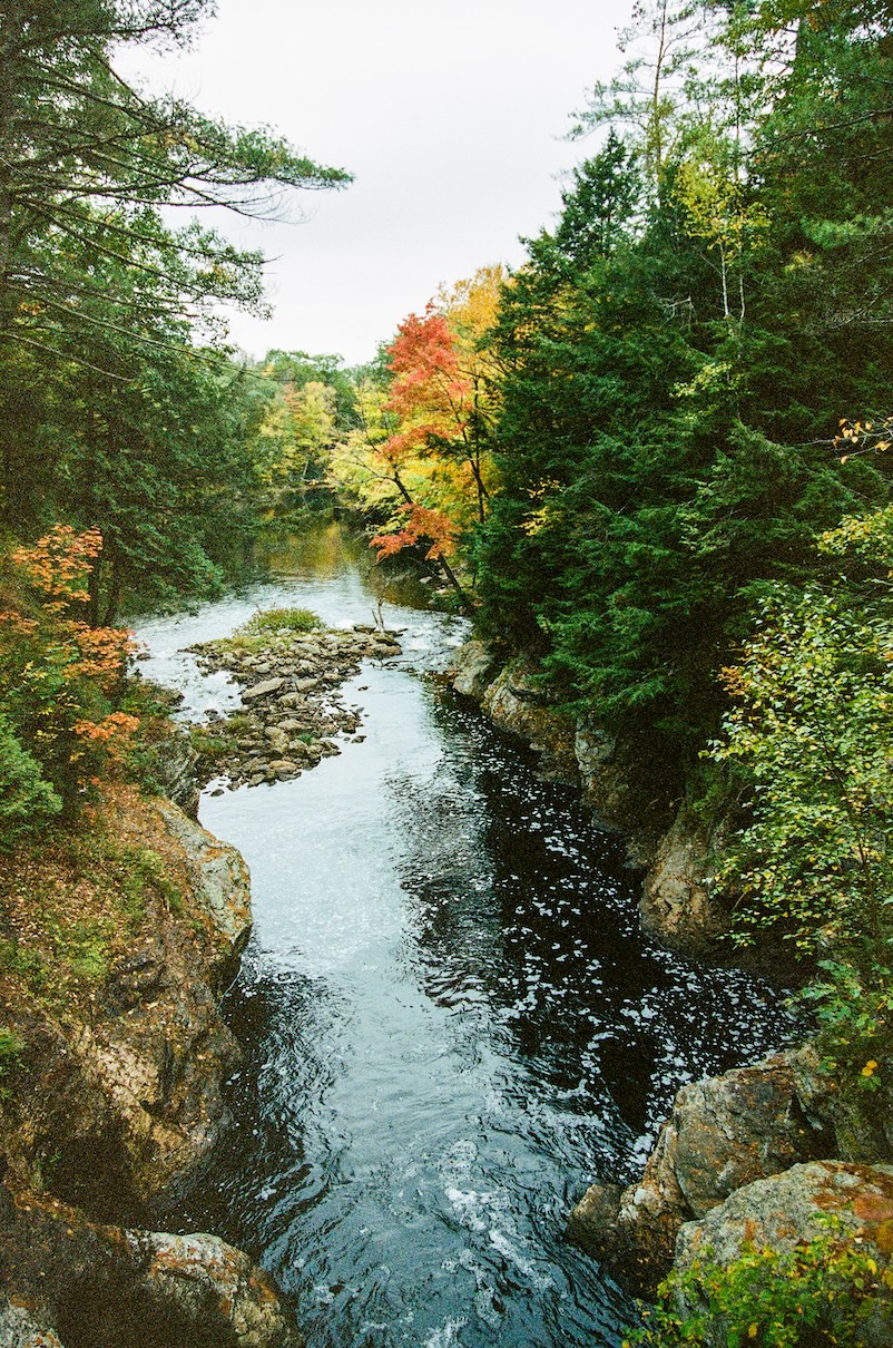 Autumn Landscape 74