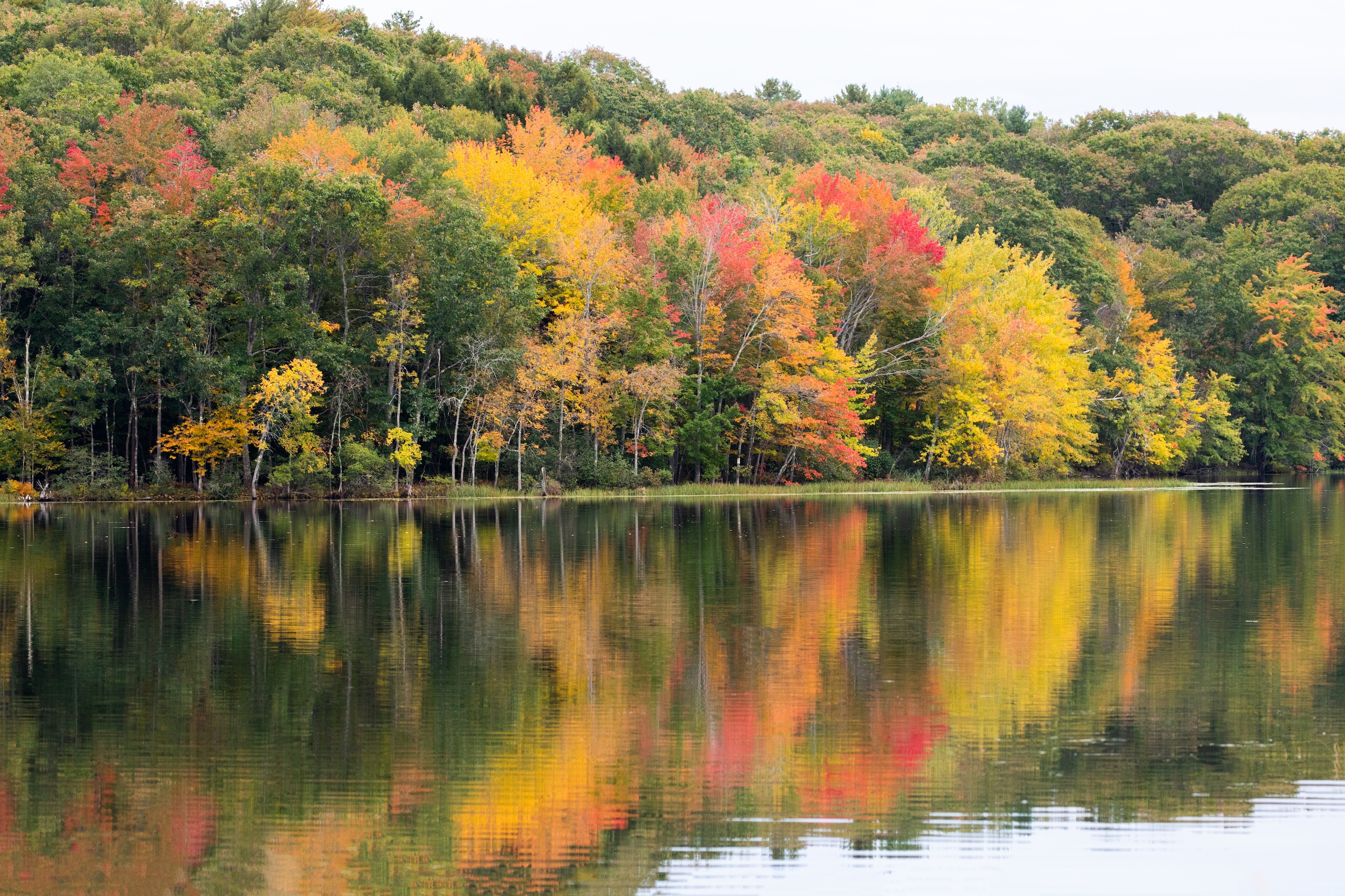 Autumn Landscape 68