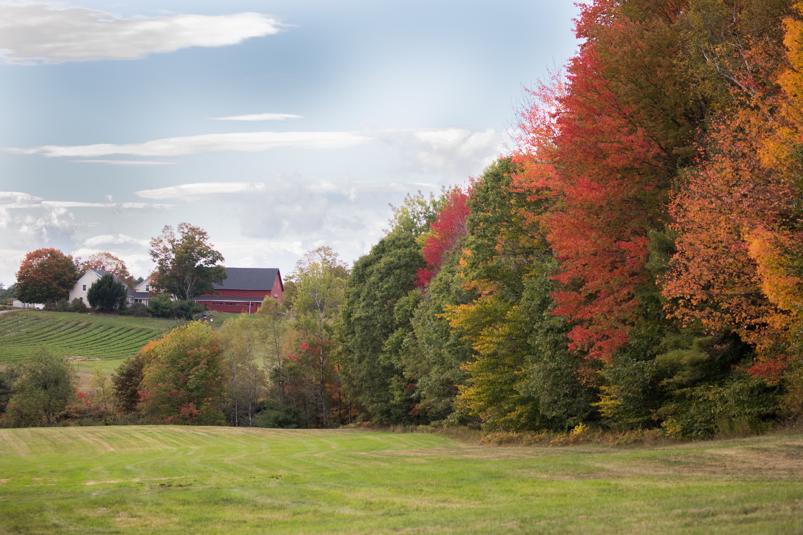 Autumn Landscape 35